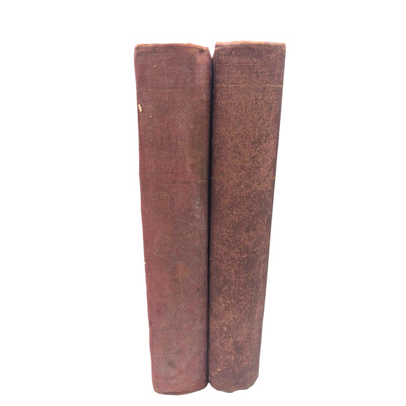 Vintage Other - ALEXANDRE DUMAS Books Early Editions 1800s Antique Lot 2 Edmond Dantes Valliere